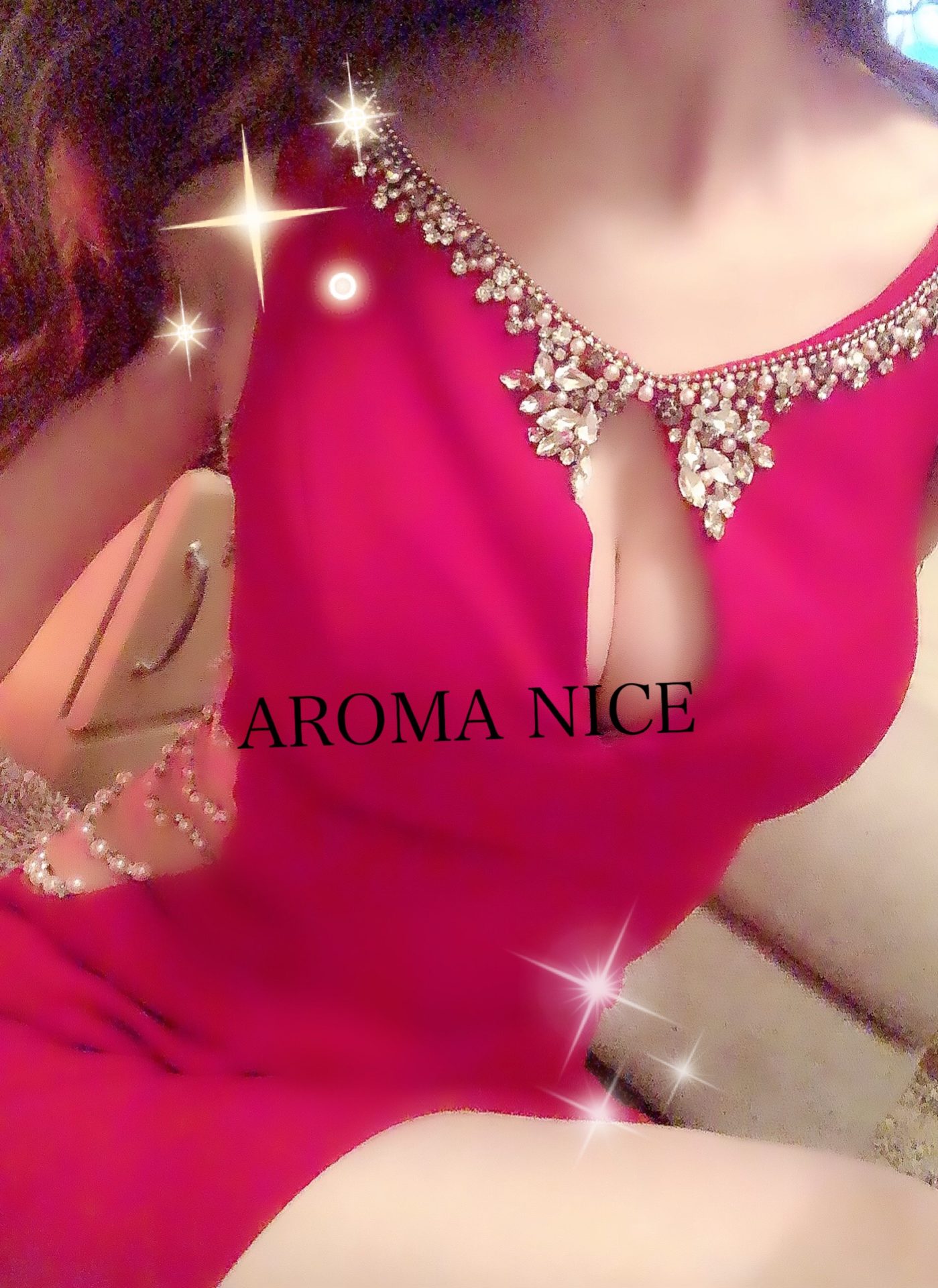 篠田奈緒
