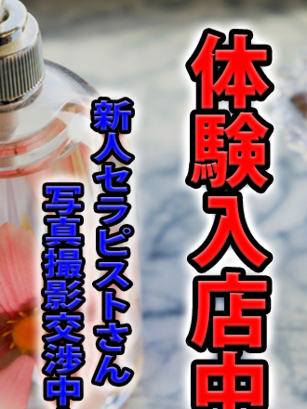 夏野あい